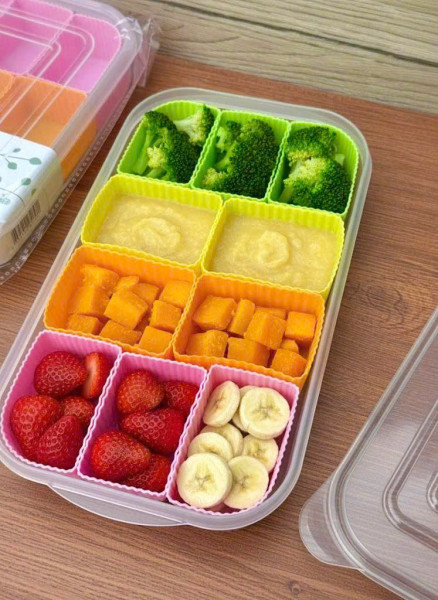 Khay trữ đồ ăn dặm chia 10 ngăn silicon cho bé (có thể tách rời)